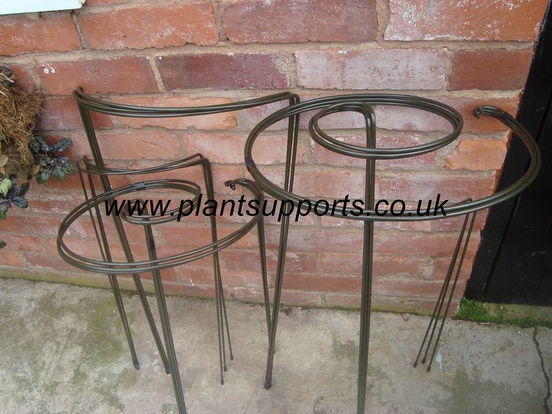 Herbaceous Border Plant Support Pack 0001 Herbaceous Border Plant Support Pack 0001